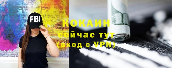 мет Инсар