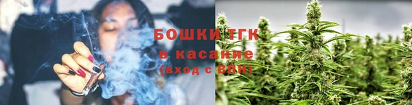 мет Инта