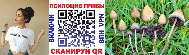 мега ТОР  Нижние Серги  Галлюциногенные грибы MAGIC MUSHROOMS 